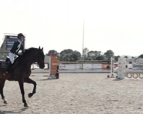 Concours Hippique de Dompierre 2021