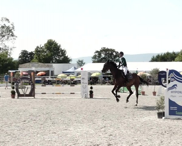 Concours Hippique de Dompierre 2021