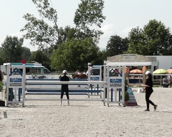 Concours Hippique de Dompierre 2021