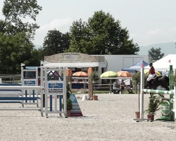 Concours Hippique de Dompierre 2021