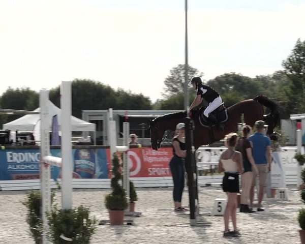Concours Hippique de Dompierre 2021