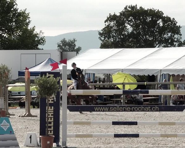 Concours Hippique de Dompierre 2021
