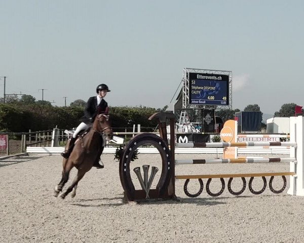 Concours Hippique de Dompierre 2021