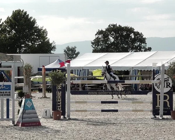 Concours Hippique de Dompierre 2021