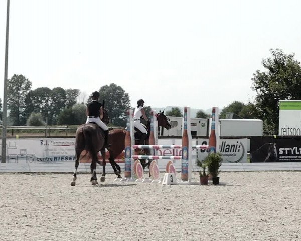 Concours Hippique de Dompierre 2021