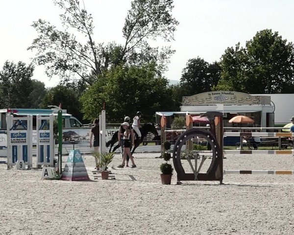 Concours Hippique de Dompierre 2021
