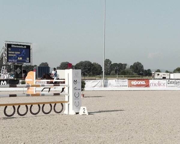Concours Hippique de Dompierre 2021