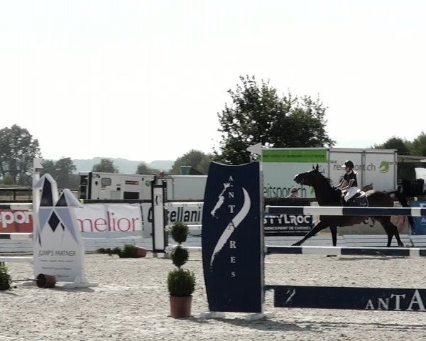 Concours Hippique de Dompierre 2021