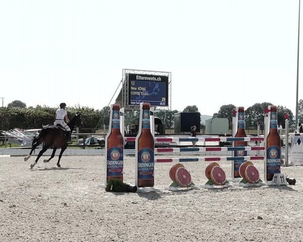 Concours Hippique de Dompierre 2021