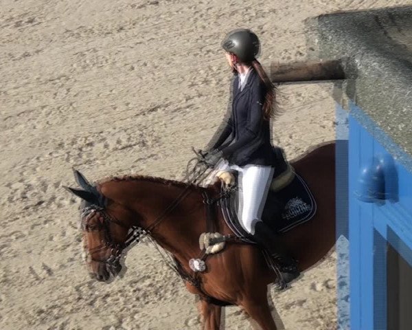 Reitturnier Monheim - Gut Blee 2021