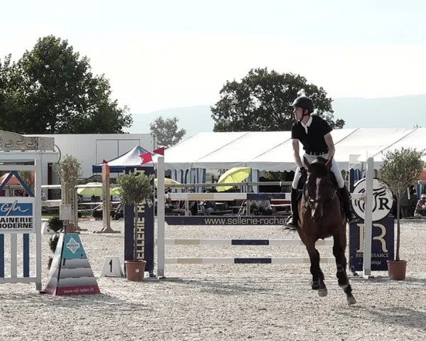 Concours Hippique de Dompierre 2021
