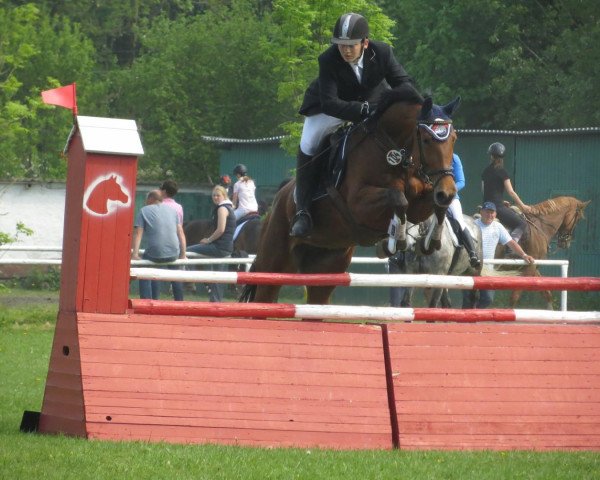 jumper Frances 19 (German Warmblood, 2005, from Frühlingsbote)