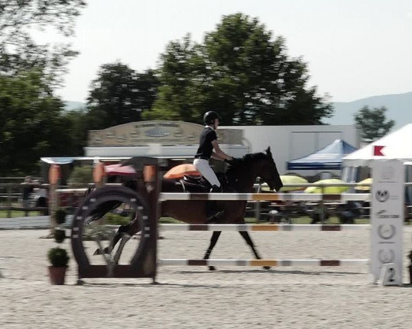 Concours Hippique de Dompierre 2021