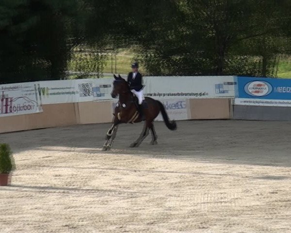 Reitturnier Monheim - Gut Blee 2021