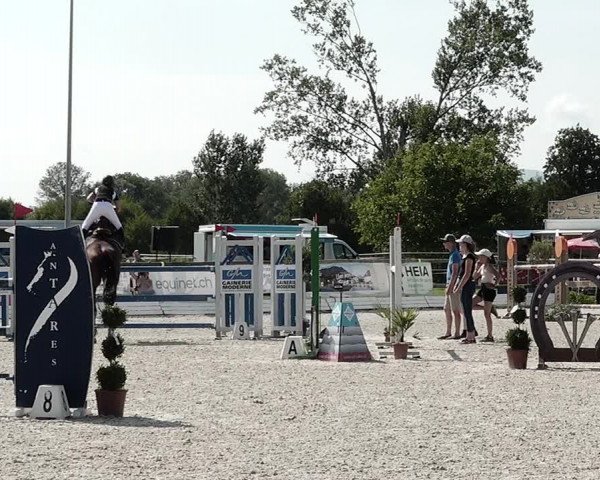 Concours Hippique de Dompierre 2021