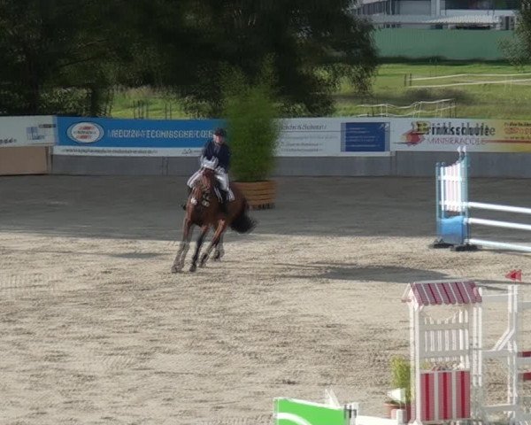 Reitturnier Monheim - Gut Blee 2021