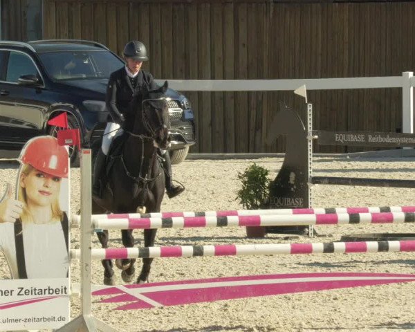 Springturnier Memmingen 2021