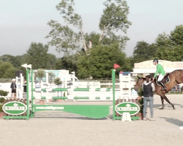 Concours Hippique de Dompierre 2021