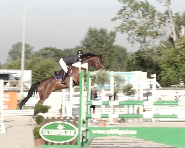 Concours Hippique de Dompierre 2021