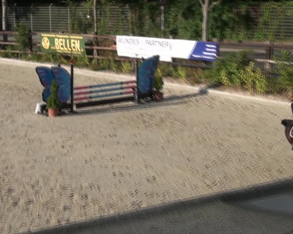 Reitturnier Monheim - Gut Blee 2021
