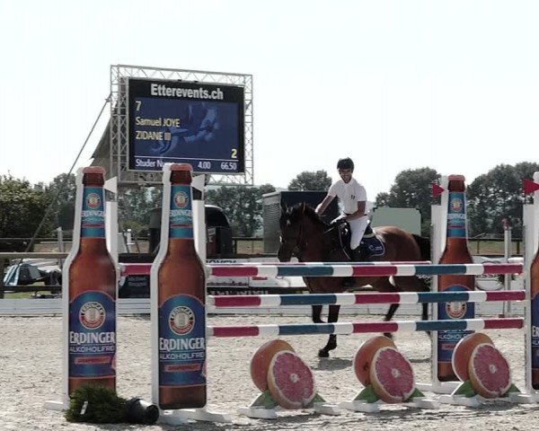 Concours Hippique de Dompierre 2021