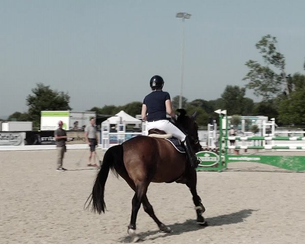 Concours Hippique de Dompierre 2021