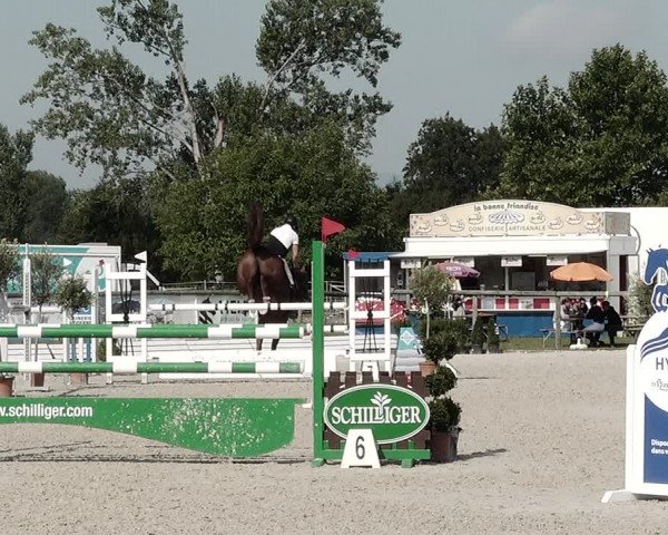 Concours Hippique de Dompierre 2021