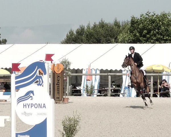 Concours Hippique de Dompierre 2021