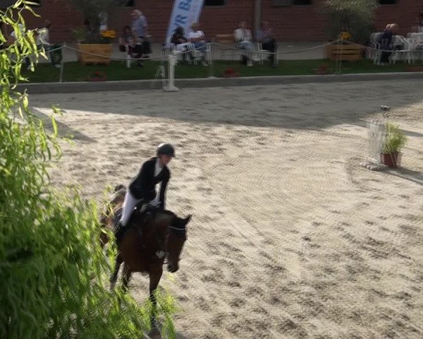 Reitturnier Monheim - Gut Blee 2021