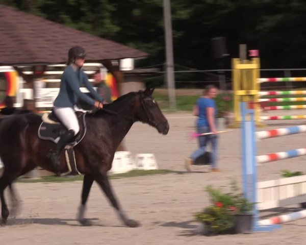 Springturnier Pietzpuhl 2021