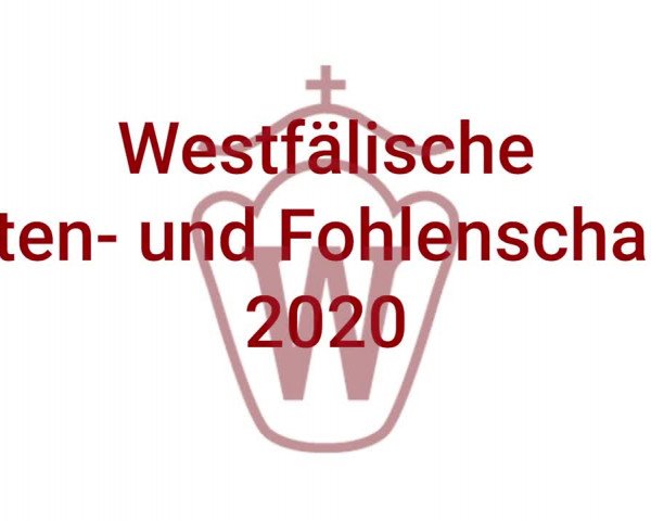 Stuten- und Fohlenschau Sundern- Hellefeld