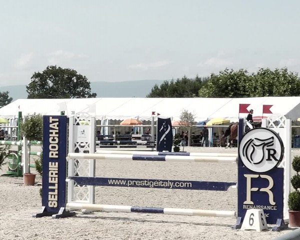 Concours Hippique de Dompierre 2021
