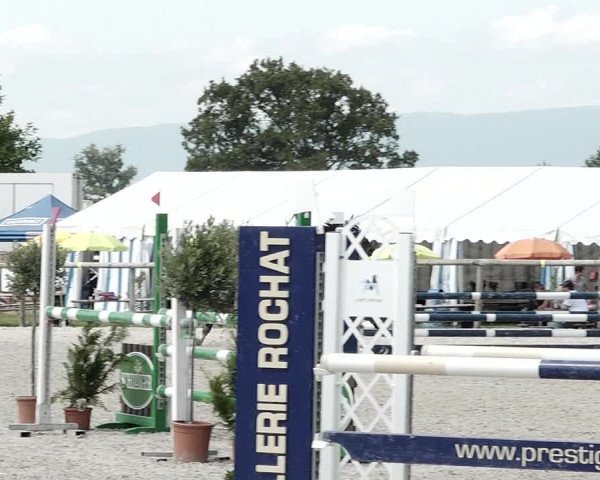 Concours Hippique de Dompierre 2021