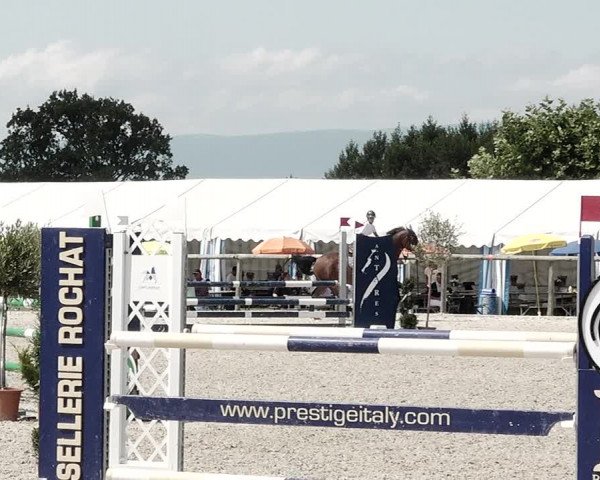 Concours Hippique de Dompierre 2021