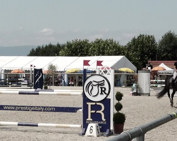 Concours Hippique de Dompierre 2021