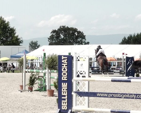 Concours Hippique de Dompierre 2021