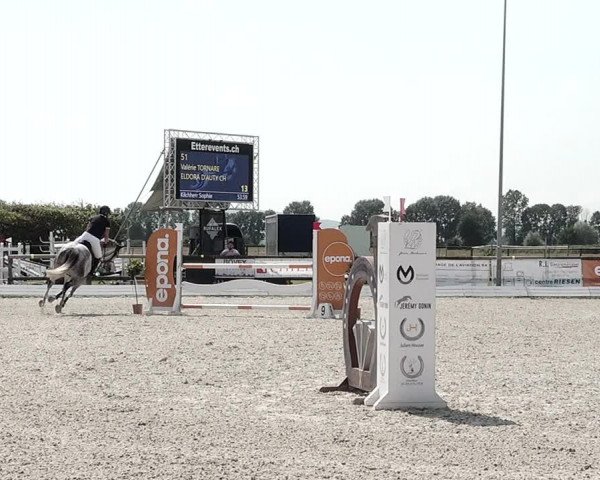 Concours Hippique de Dompierre 2021