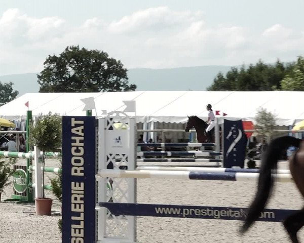 Concours Hippique de Dompierre 2021