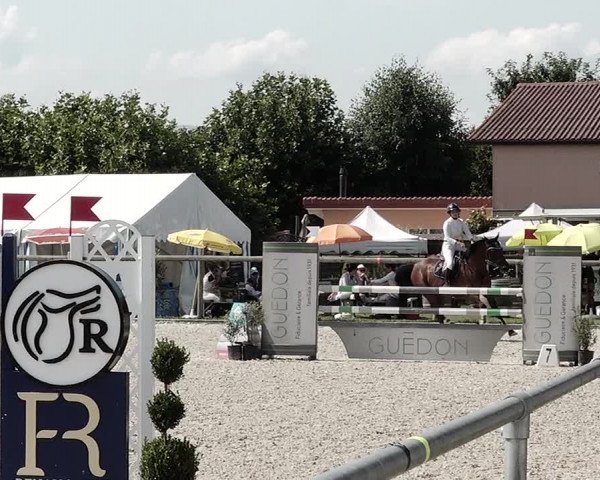 Concours Hippique de Dompierre 2021