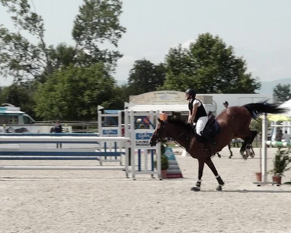 Concours Hippique de Dompierre 2021