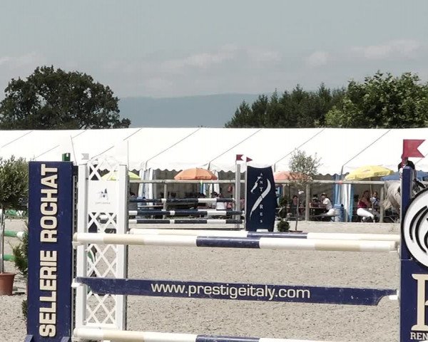 Concours Hippique de Dompierre 2021