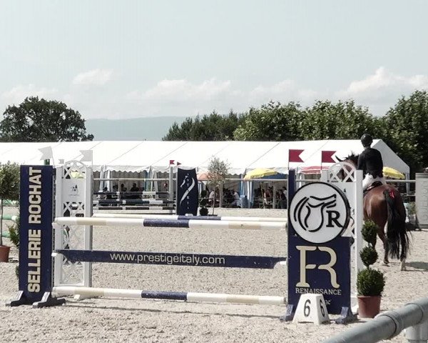 Concours Hippique de Dompierre 2021