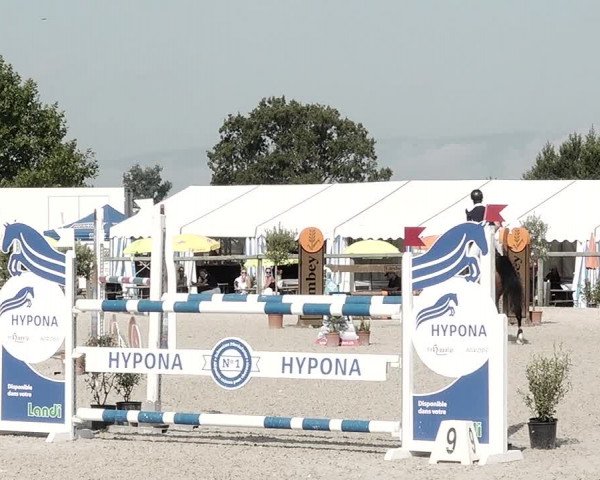 Concours Hippique de Dompierre 2021