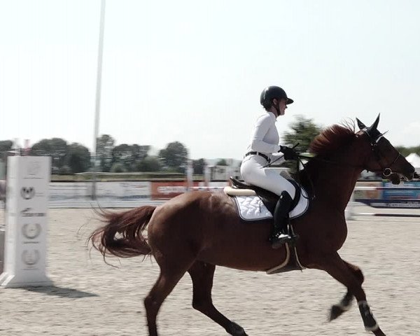 Concours Hippique de Dompierre 2021