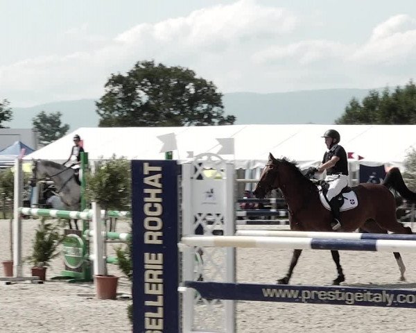 Concours Hippique de Dompierre 2021