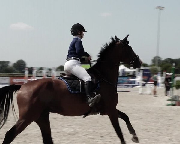 Concours Hippique de Dompierre 2021