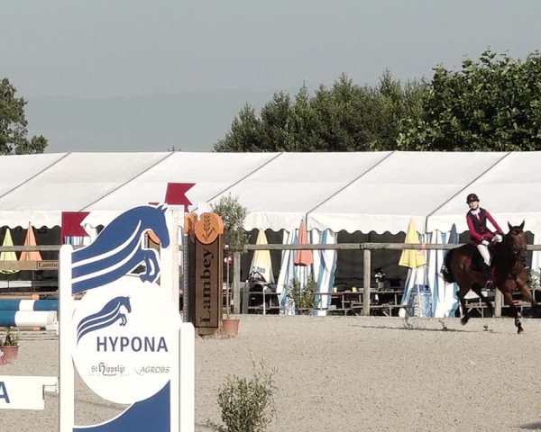 Concours Hippique de Dompierre 2021