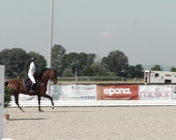 Concours Hippique de Dompierre 2021