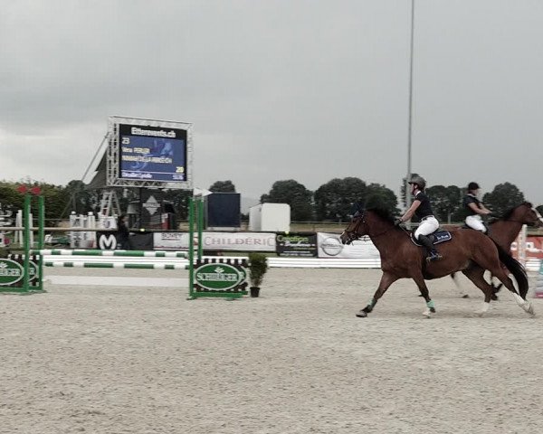 Concours Hippique de Dompierre 2021