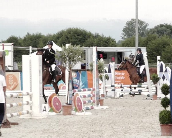 Concours Hippique de Dompierre 2021